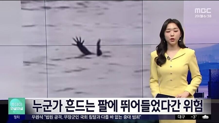 인간을 잡아먹기 위한 사냥법을 학습한 악어_1.jpg