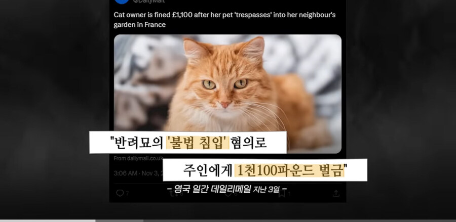 프랑스에서 ‘외출냥이’ 현주소_3.jpg