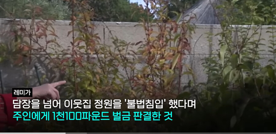 프랑스에서 ‘외출냥이’ 현주소_4.jpg