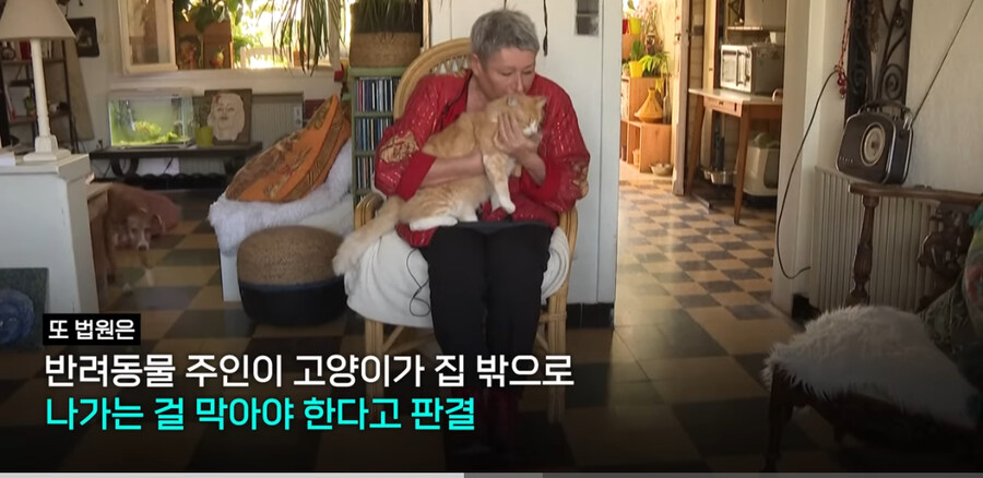 프랑스에서 ‘외출냥이’ 현주소_6.jpg