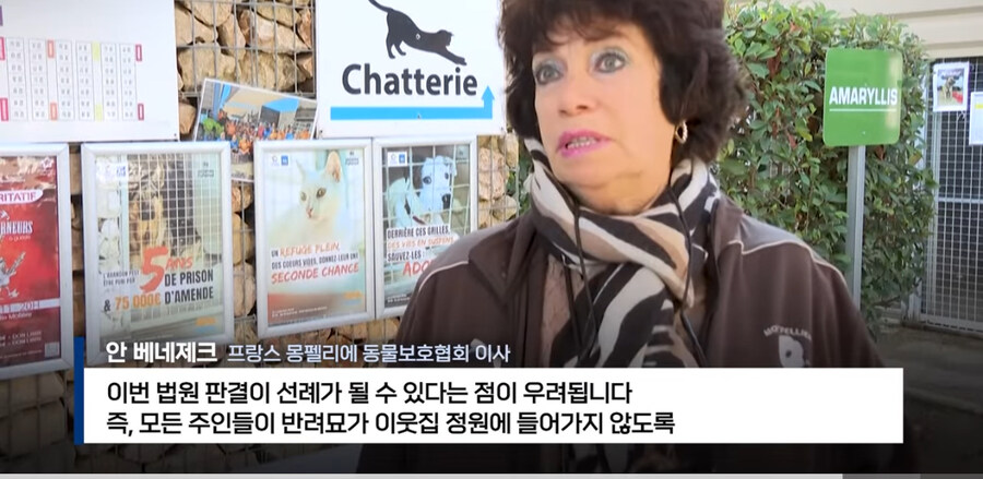 프랑스에서 ‘외출냥이’ 현주소_13.jpg