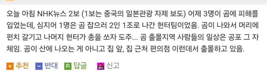 곰 민원 탓에 골치라는 일본 관공서_2.jpg