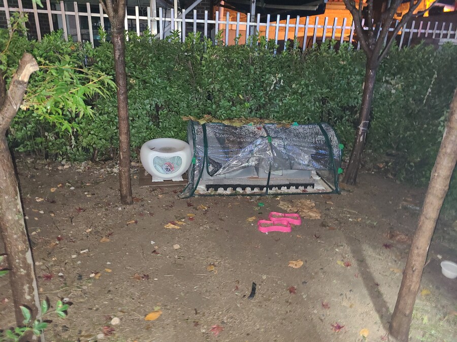 놀이터 얼마전에 새로 지었는데 벌써부터 고양이 집이 들어섰어_1.jpg