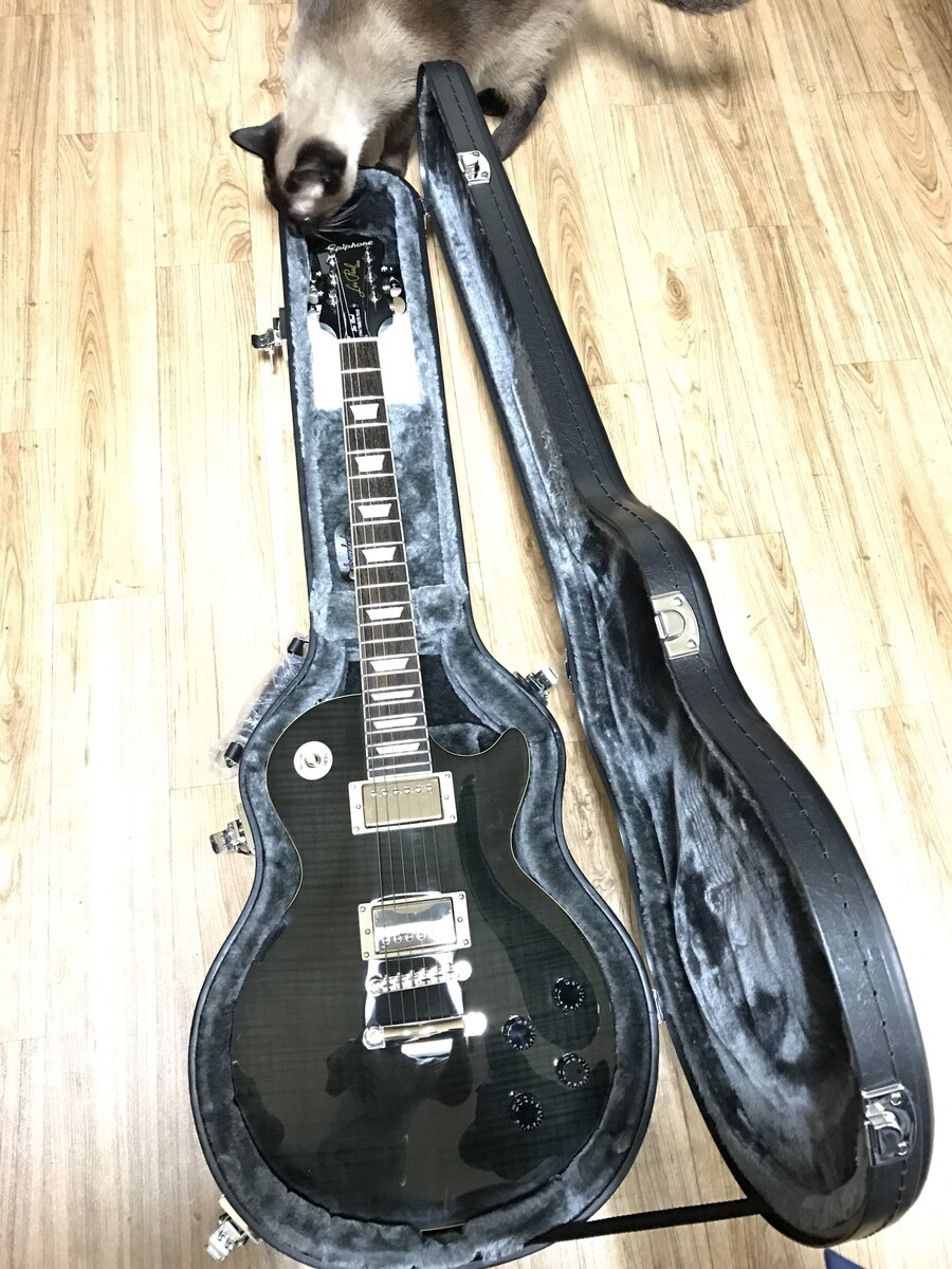 내 기타 보실?_1.jpg