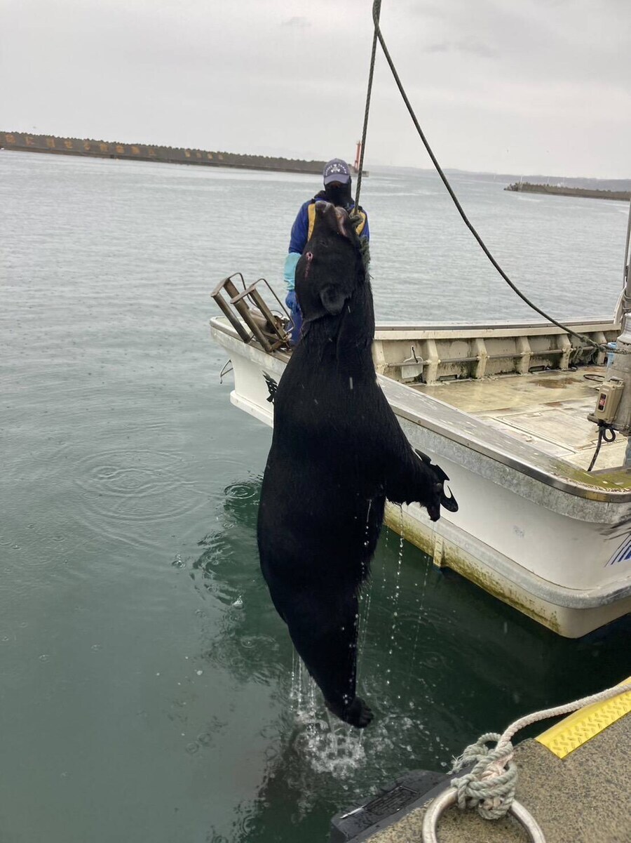 의외로 일본 앞바다에서 잡히는 것_1.jpg