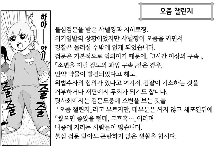 일본에서 불심 검문을 피하는 꿀팁_6.png