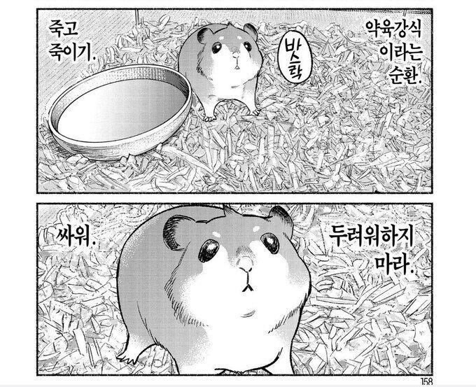 햄스터 고증인거_1.jpg