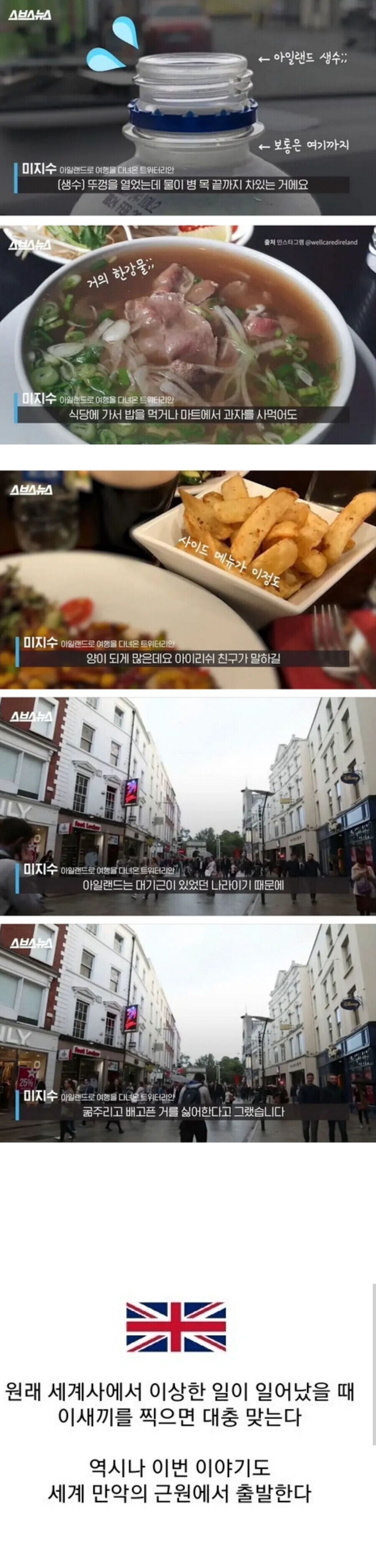 아일랜드 음식이 양 많은이유.jpg_1.jpg