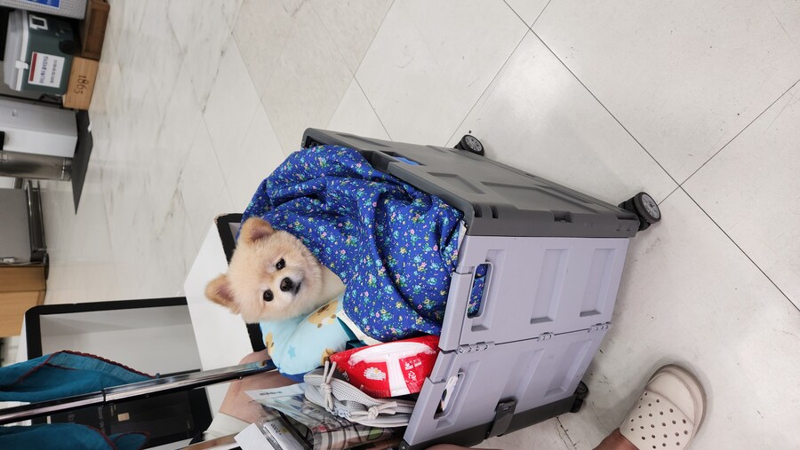 마트가서 봤던 귀여운거_1.jpg