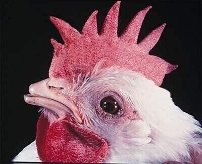 전세사기 처벌이 힘든 이유_1.jpg