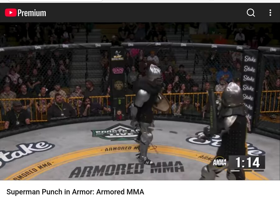 점점 인기를 얻고 있다는 서구식 신종 MMA_1.jpg