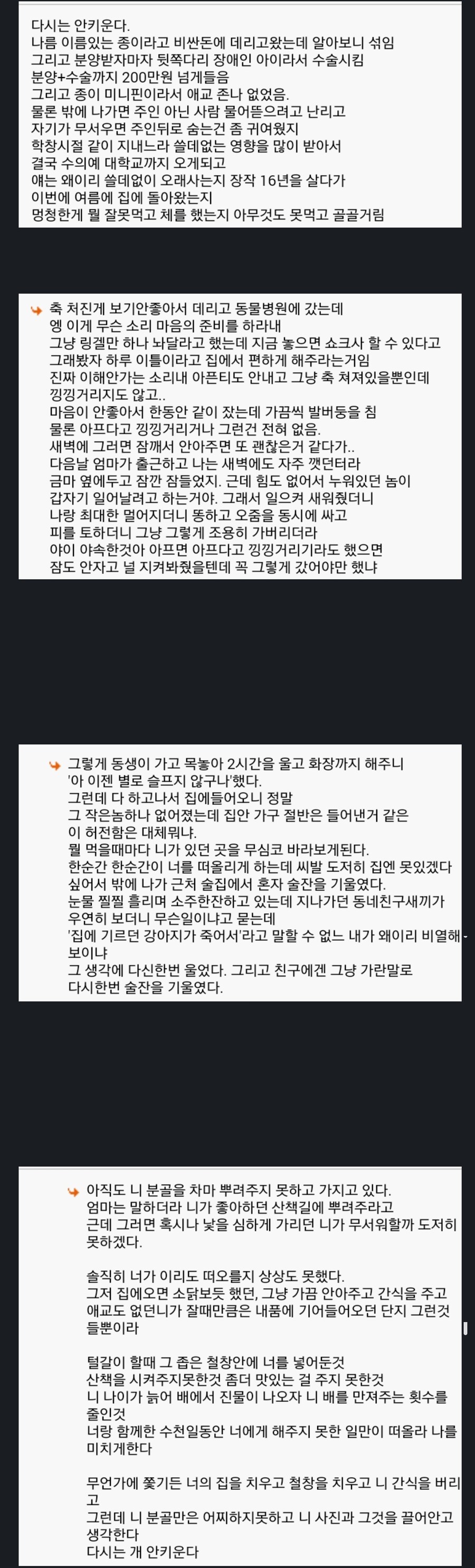 다시는 개 안키운다_1.jpg