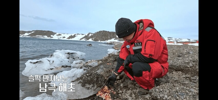 백종원)지천에 널린 남극의 식재료_1.png