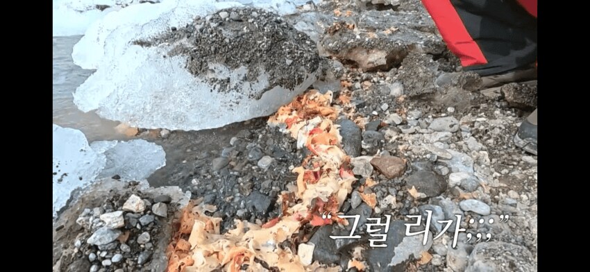 백종원)지천에 널린 남극의 식재료_3.png