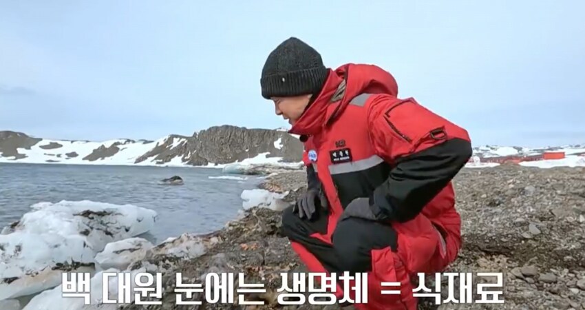 백종원)지천에 널린 남극의 식재료_4.png