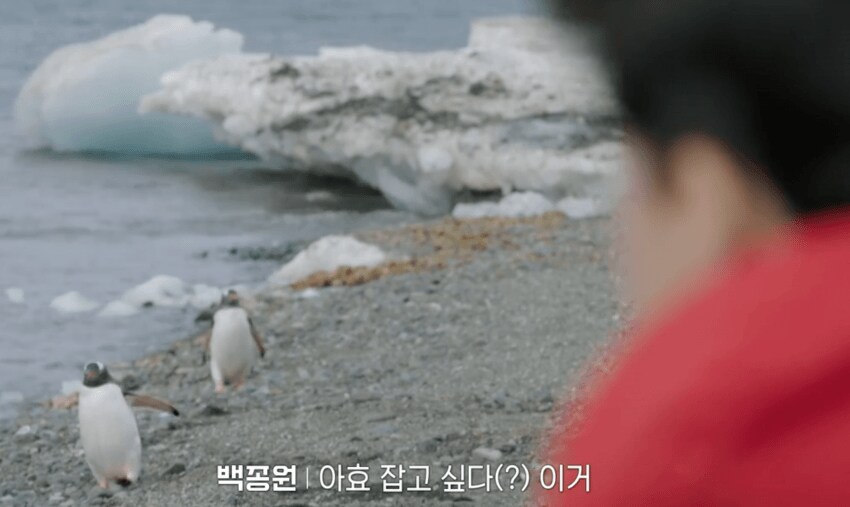 백종원)지천에 널린 남극의 식재료_5.png