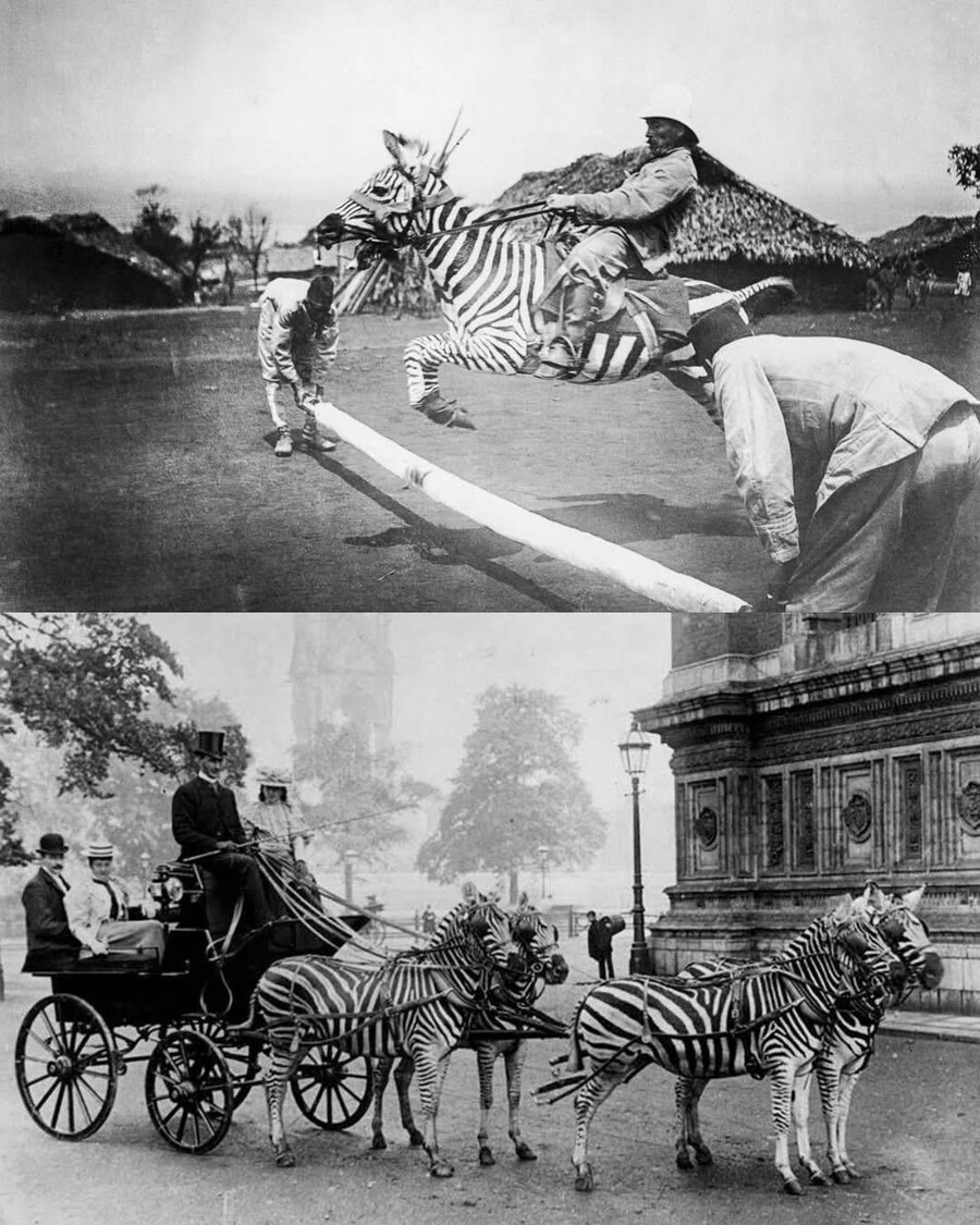 과거 인류가 겪은 큰 실패.jpg_1.jpg