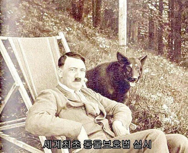 간디가 말한 위대한 나라_2.jpg