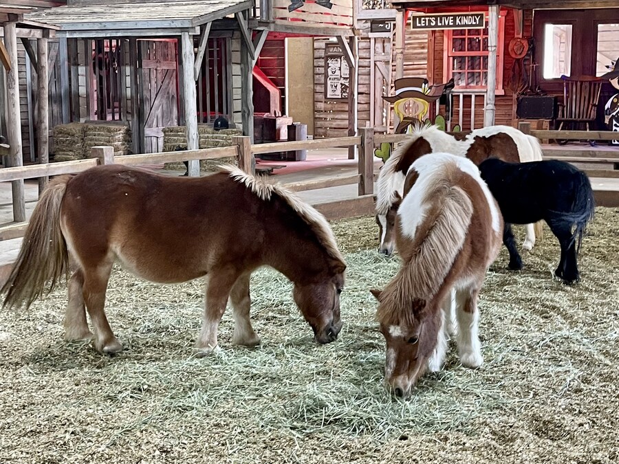 주말에 팜랜드 갔다와서 자랑하려고 했더니 뭔 일이래.. ㄷㄷ_1.jpg