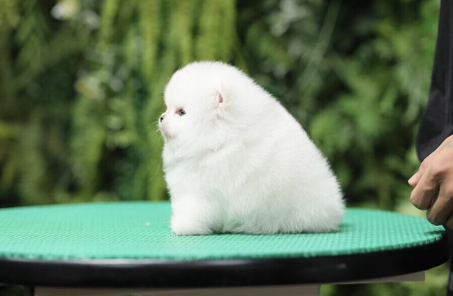 세상에서 제일가는 이등변삼각형.jpg_1.jpg