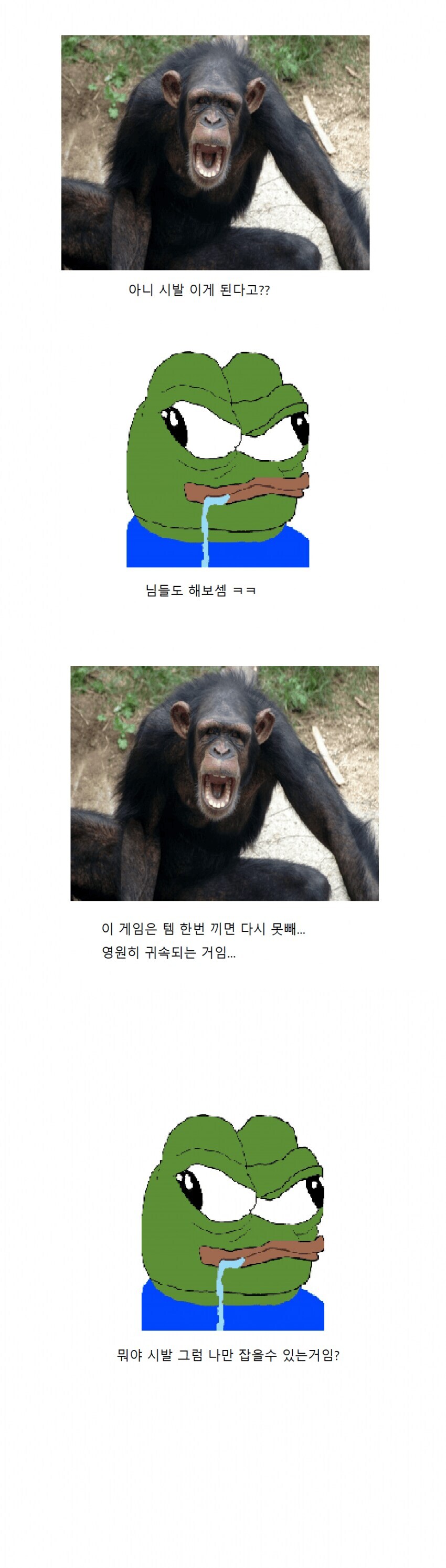 어떤 게임의 기괴한 보스공략법_4.jpg