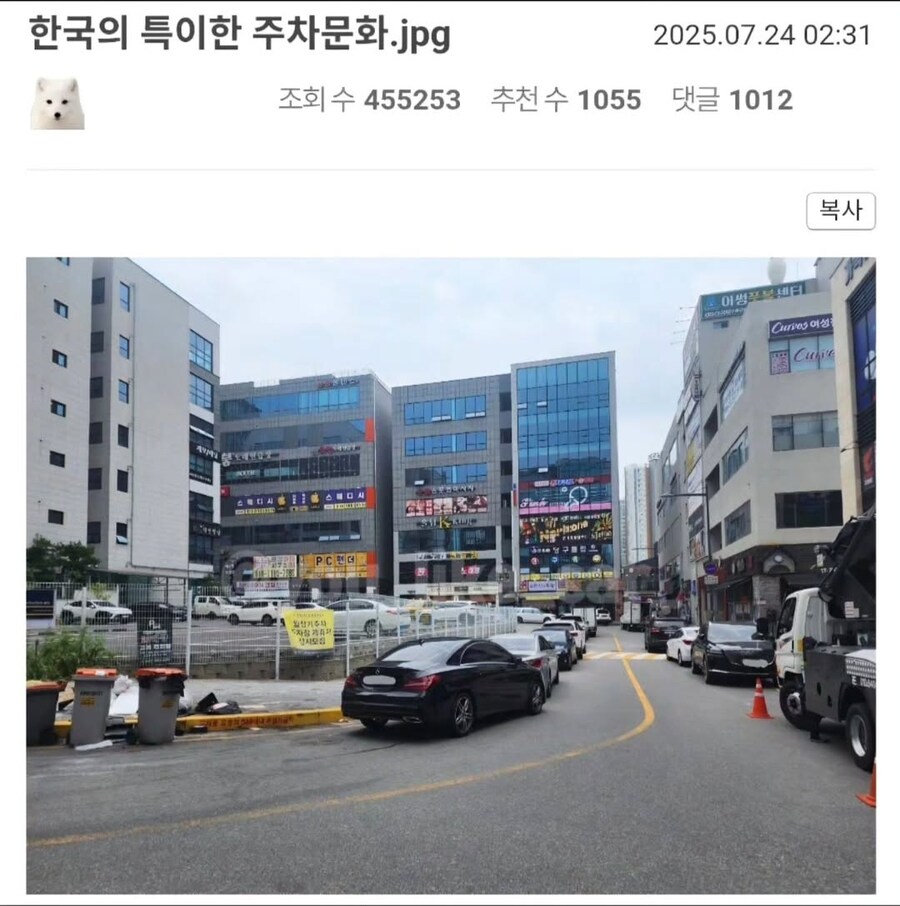 한국의 특이한 주차문화.jpg_1.jpg