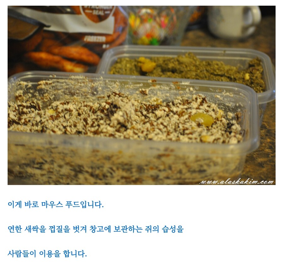 맛알못 유럽인들_9.jpg