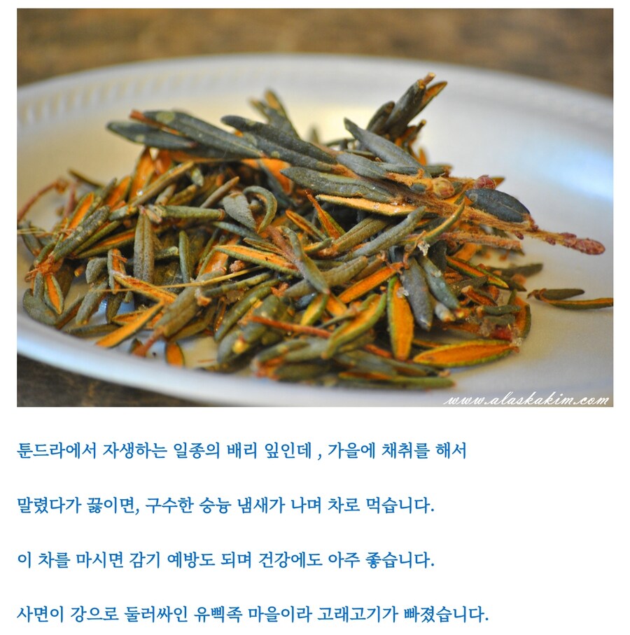 맛알못 유럽인들_12.jpg