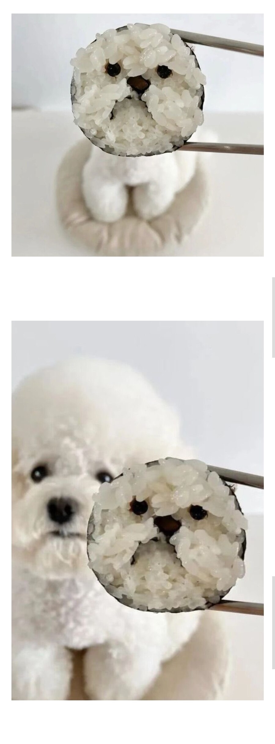 주인님 그 녀석은 가짜예요ㅠㅠㅠ_1.jpg