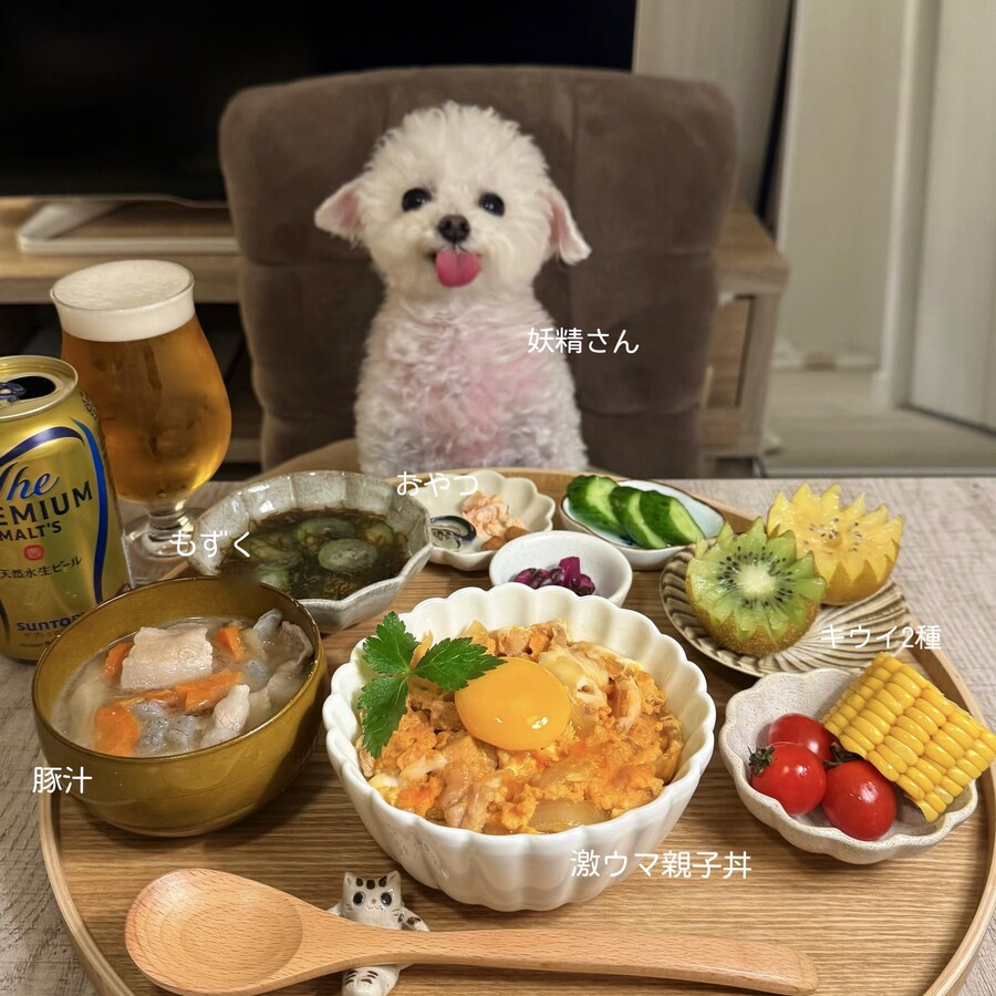 너무 귀여워서 AI소리듣는 일본강아지_1.jpg