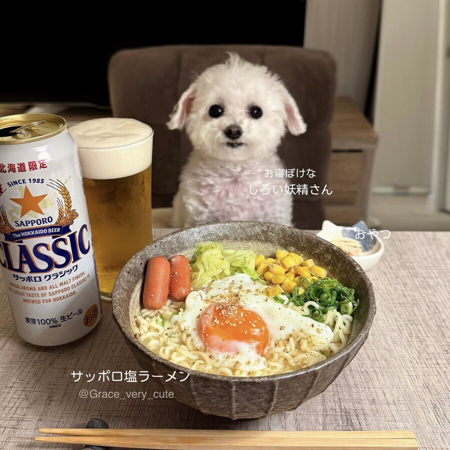 너무 귀여워서 AI소리듣는 일본강아지_4.jpg