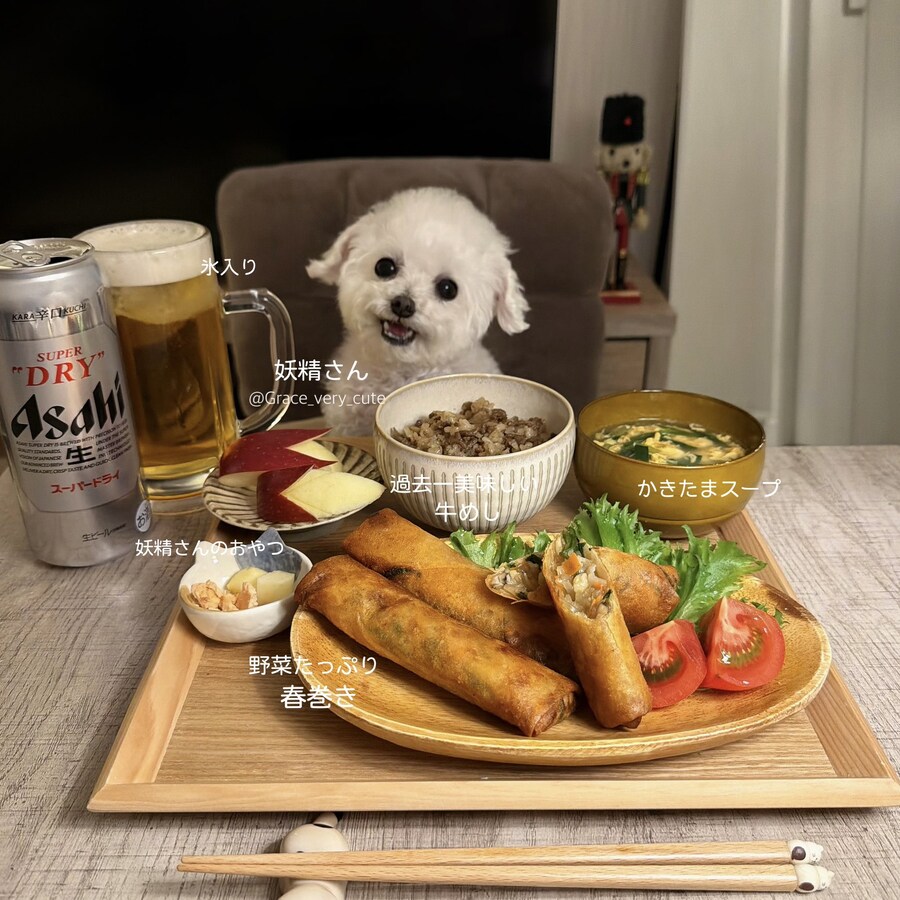 너무 귀여워서 AI소리듣는 일본강아지_8.jpg