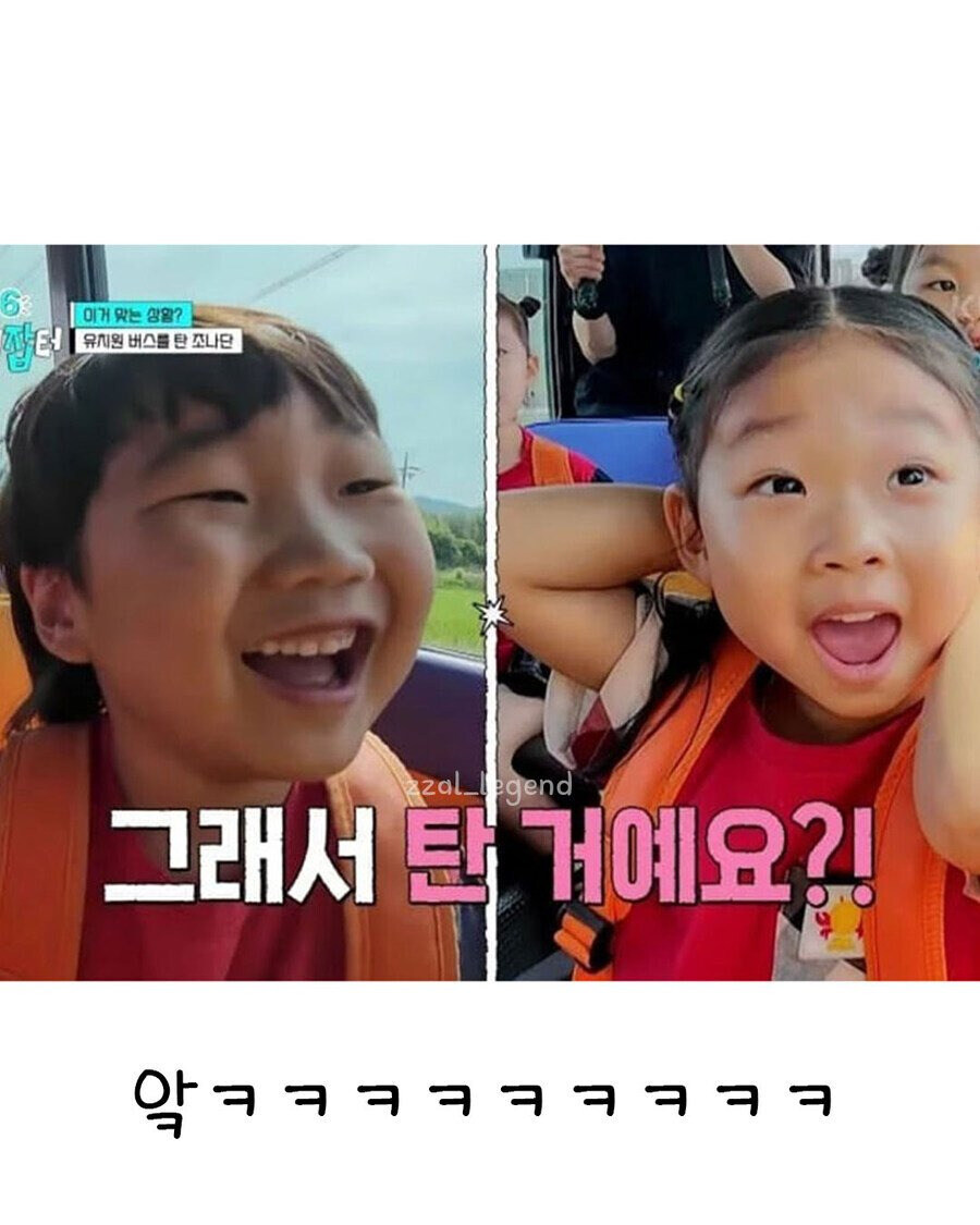 유치원 버스 탔다 봉변당한 조나단_4.jpg