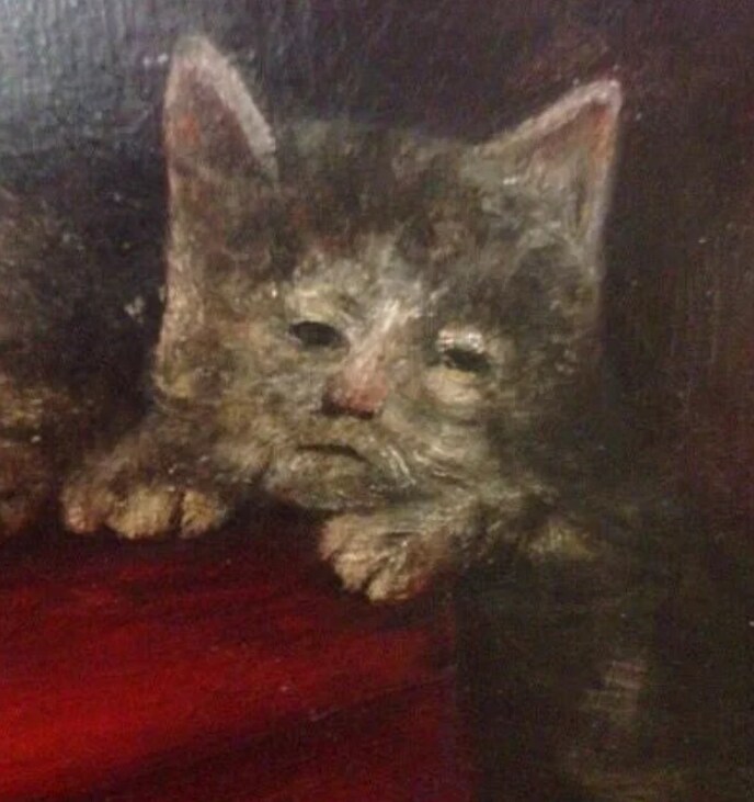 귀여운 중세시대 고양이_3.png