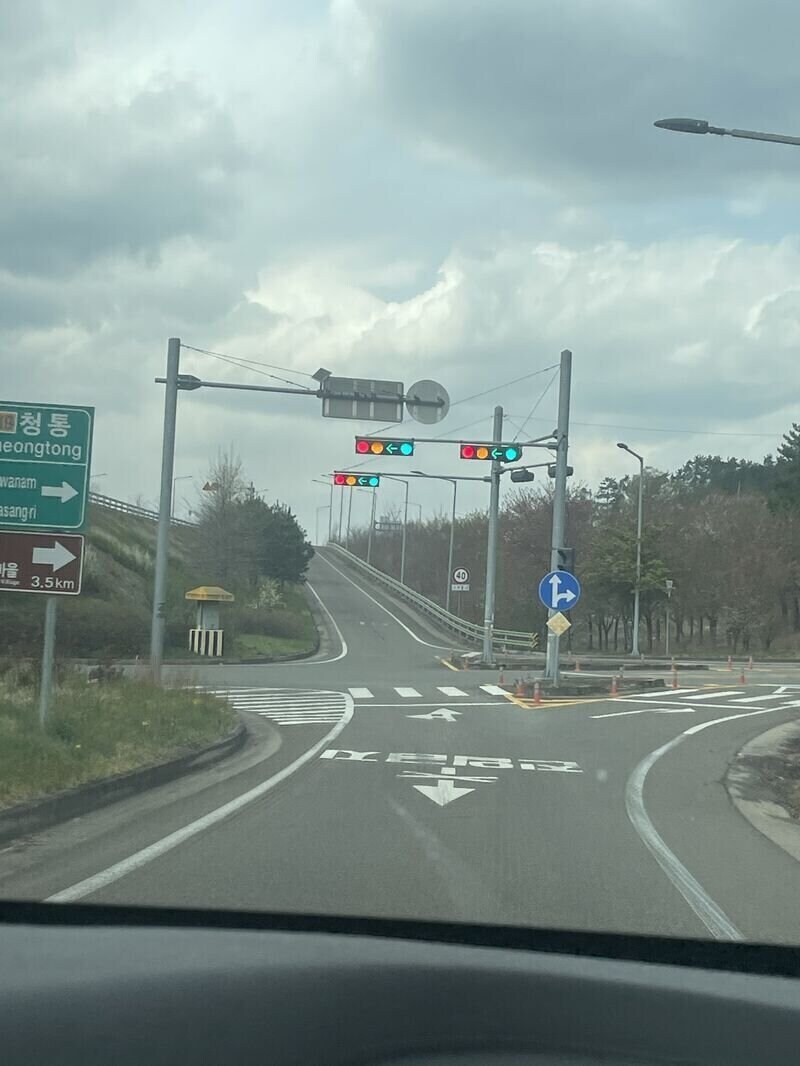 진짜 신호도 볼 줄 모르면 운전하지 마라_1.png