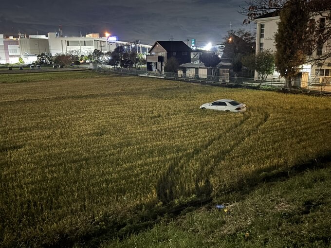 가을은 추수의 계절입니다._1.jpg