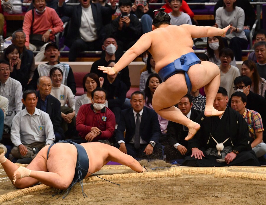 일본 스모에서 나온 기적의 한컷_1.jpg