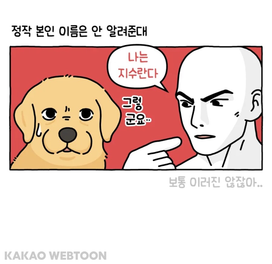 반려동물들에게 주인 이름 알려주기_2.jpg