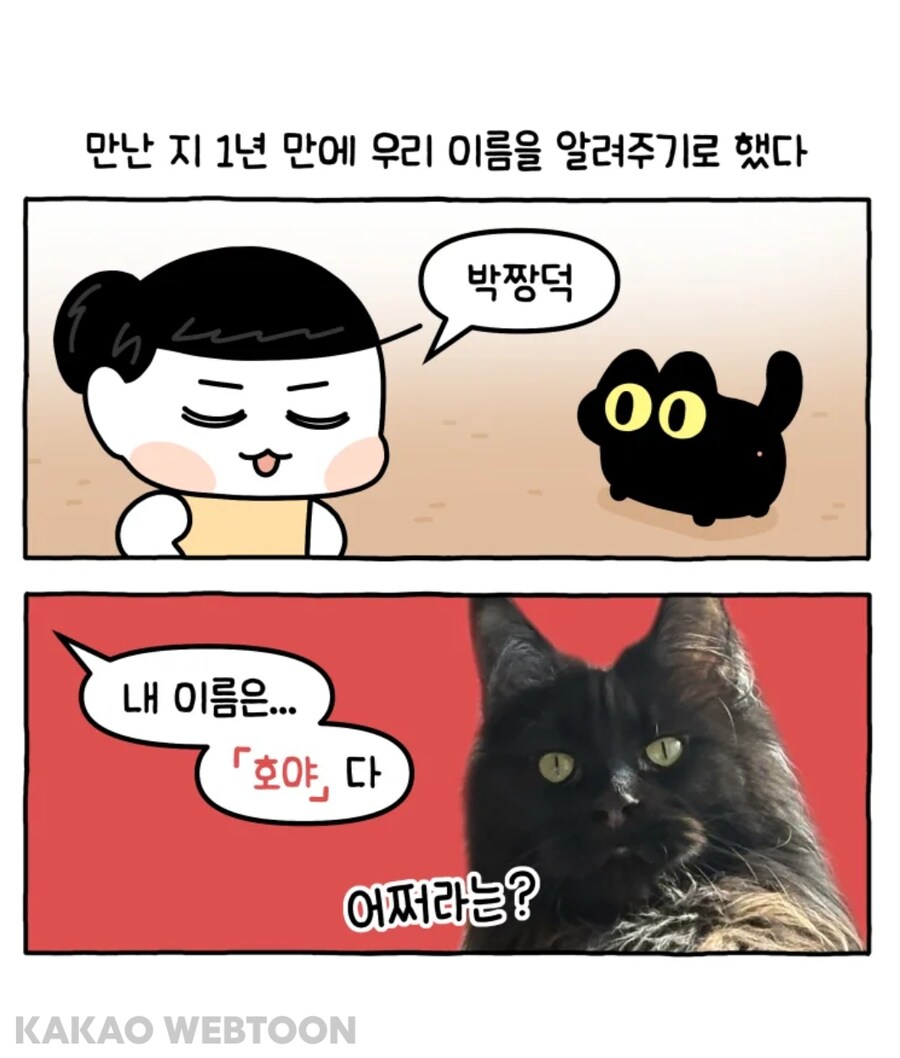 반려동물들에게 주인 이름 알려주기_4.jpg