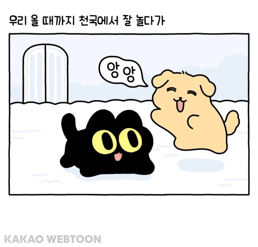 반려동물들에게 주인 이름 알려주기_8.jpg