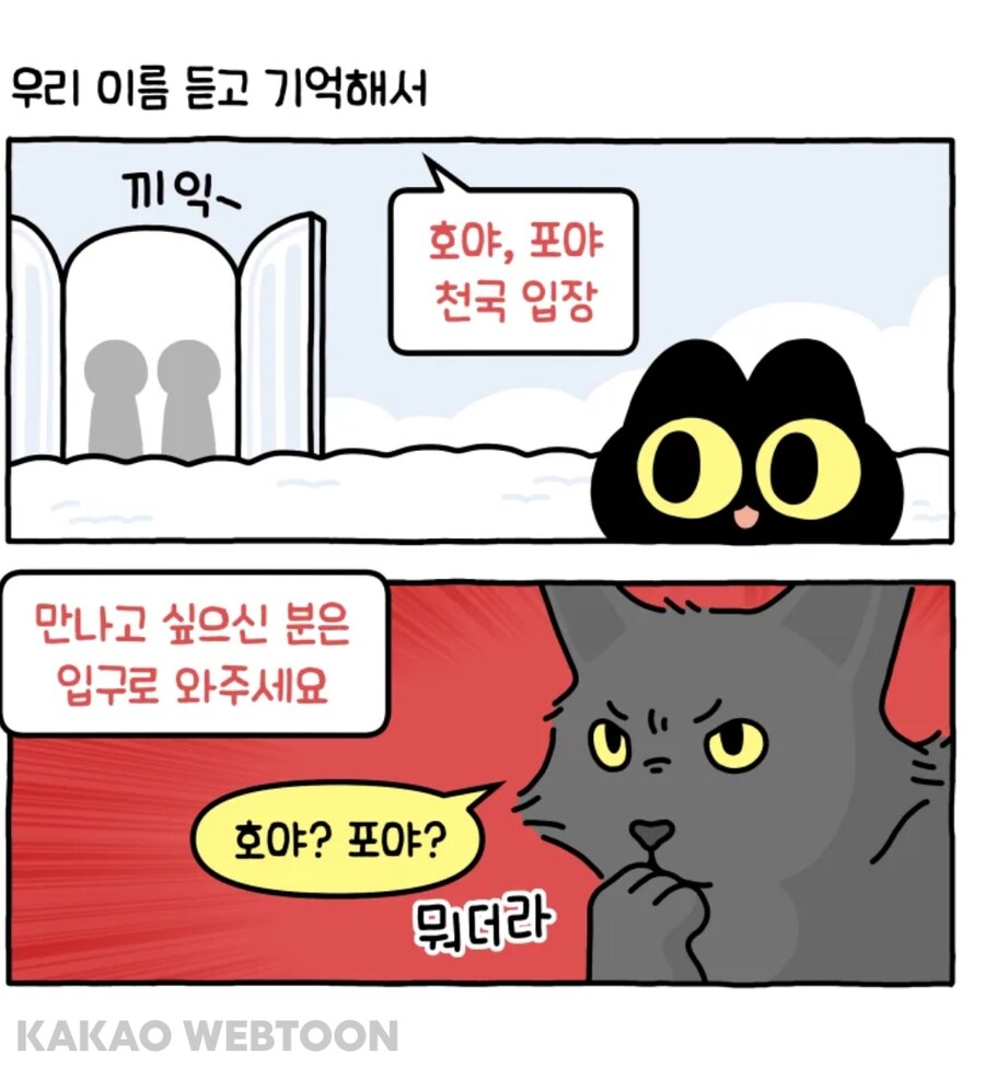 반려동물들에게 주인 이름 알려주기_9.jpg