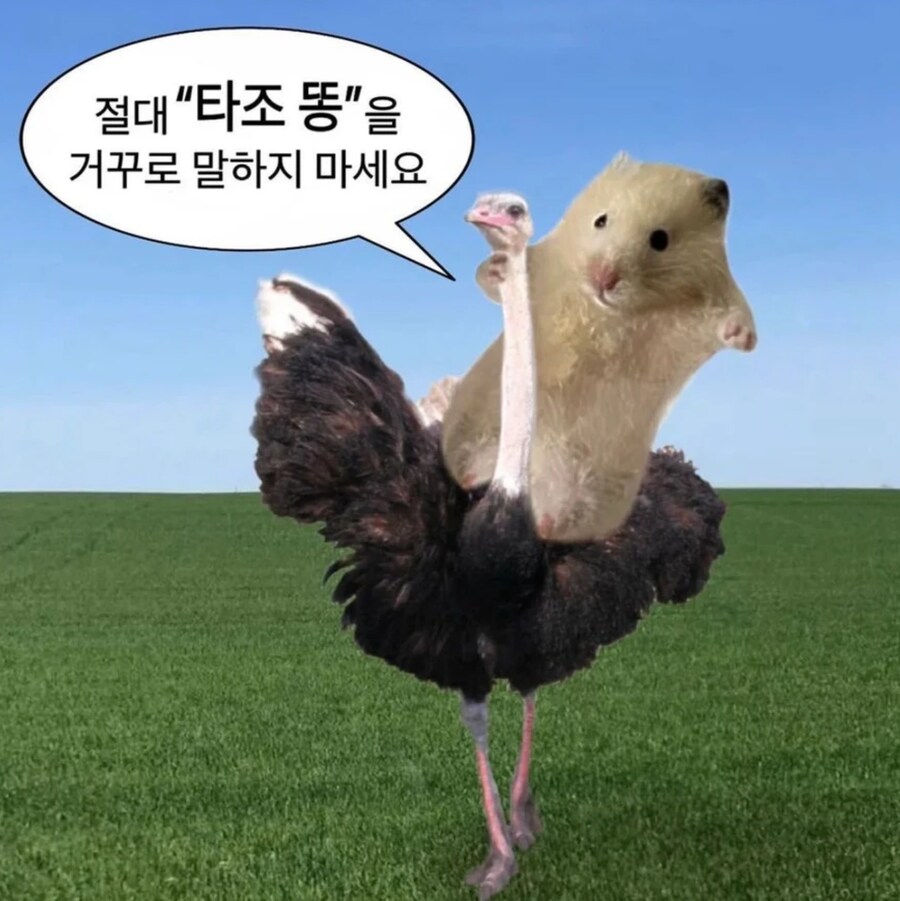 절대로 이 단어를 거꾸로 말하지 마세요_1.png