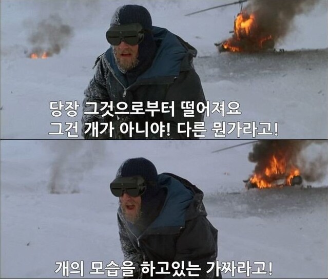 빽종원의 남극 시프 하니 생각나는것_2.png