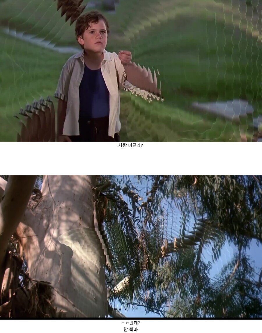 프레데터)총을 들고 자신을 겨눈 인간을 죽이지 않았던 사례_4.png