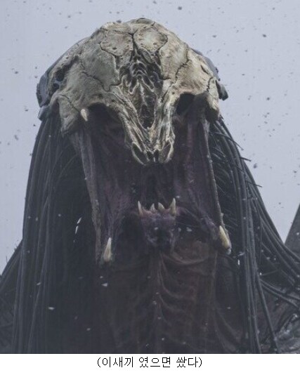 프레데터)총을 들고 자신을 겨눈 인간을 죽이지 않았던 사례_5.png