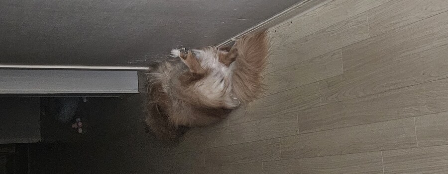 이 녀석은... 언제까지..._1.jpg