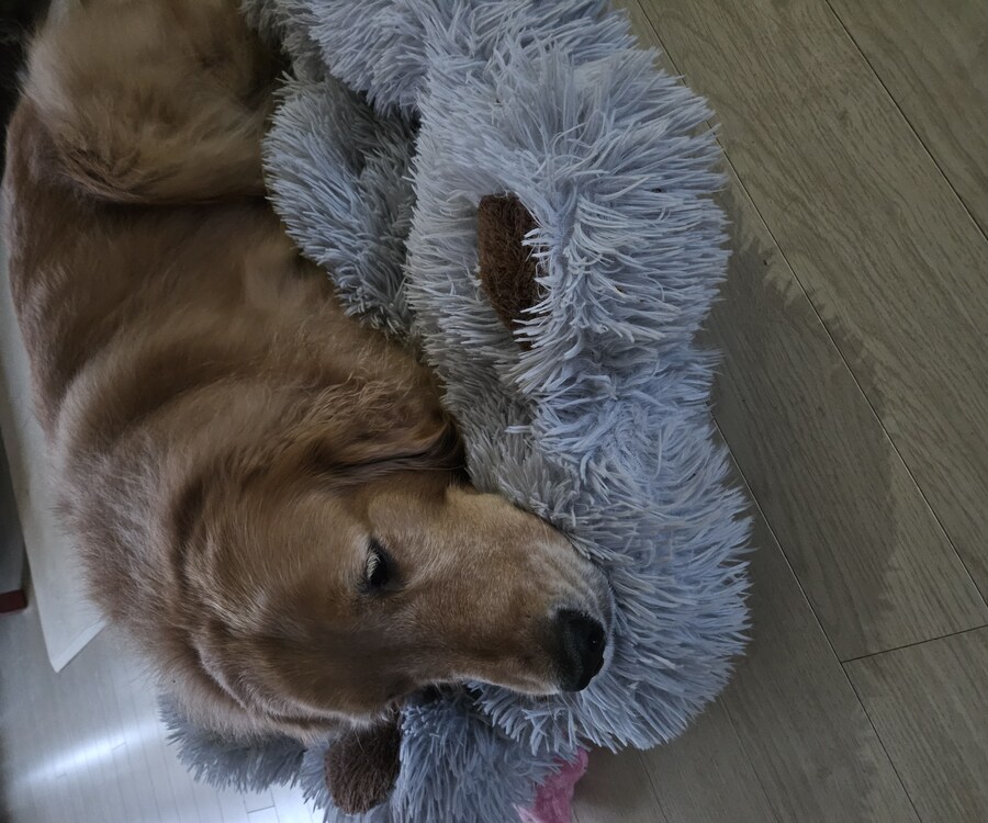 이 녀석은... 언제까지..._2.jpg