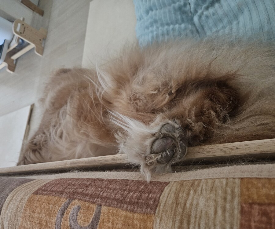 이 녀석은... 언제까지..._3.jpg