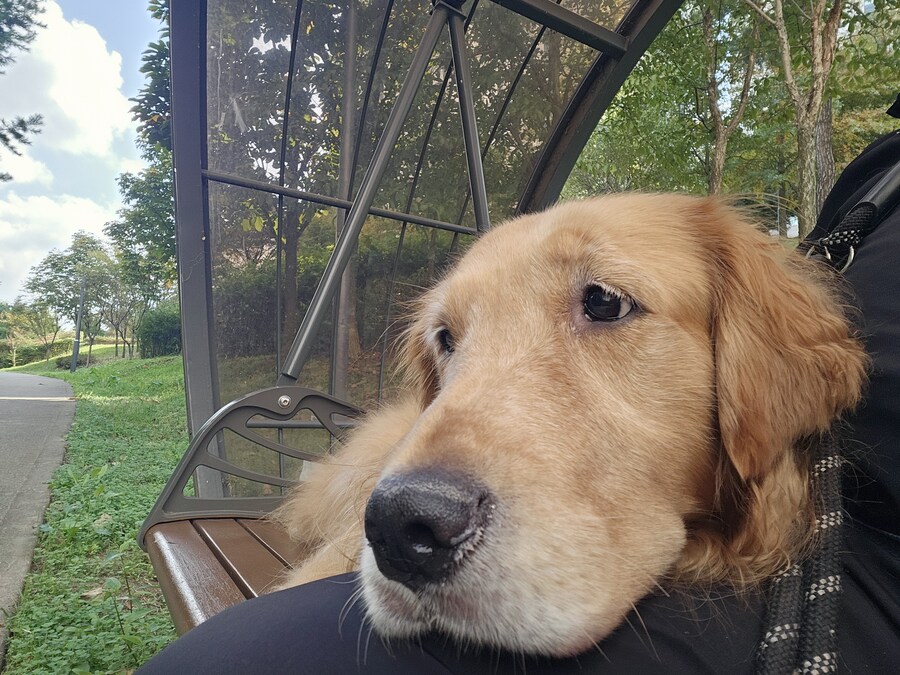 이 녀석은... 언제까지..._4.jpg