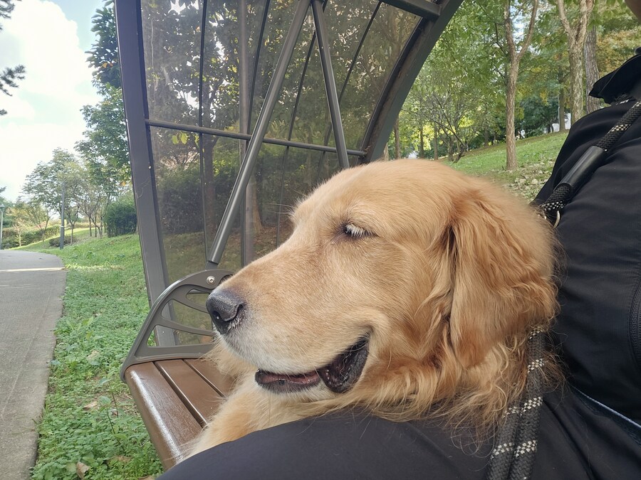 이 녀석은... 언제까지..._5.jpg